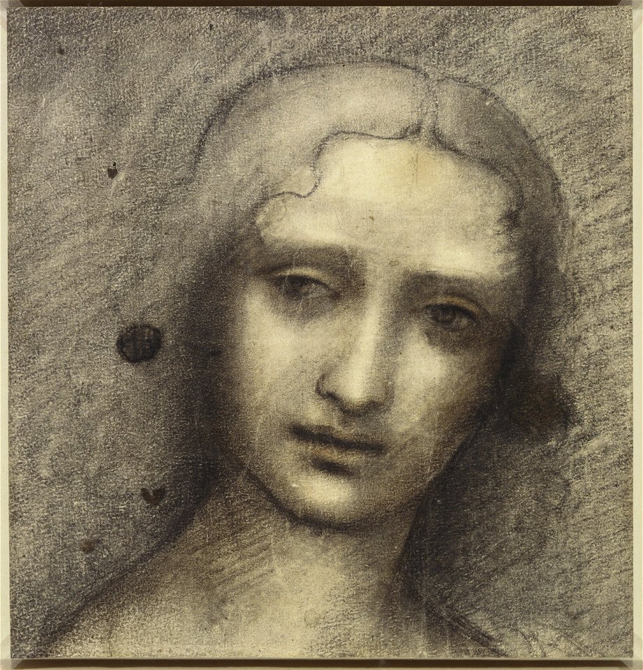 Attributed to Giampietrino - RCIN 912809, The head of a young woman c.1500-20