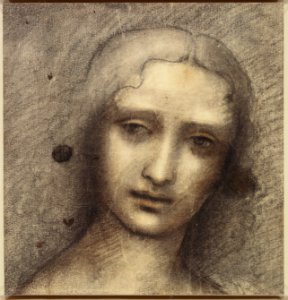 Attributed to Giampietrino - RCIN 912809, The head of a young woman c.1500-20