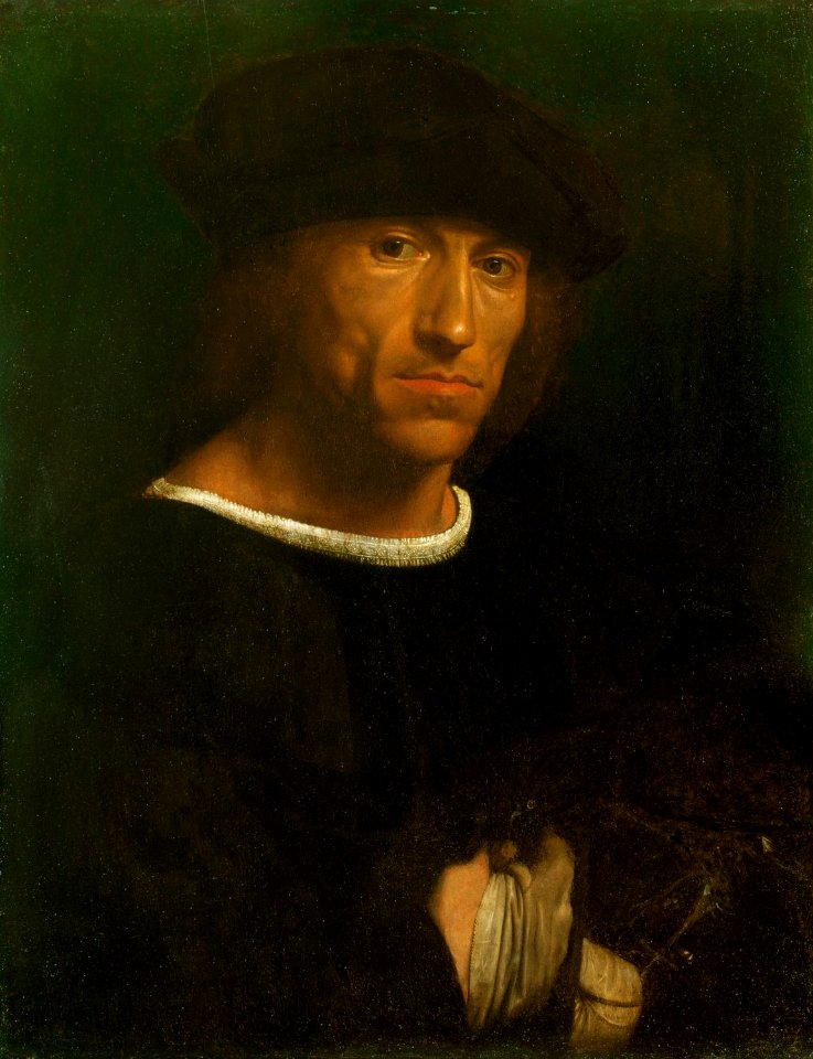 Attributed to Girolamo Savoldo (c. 1480-1548) - Portrait of a Man with a Hawk - RCIN 405764 - Royal Collection