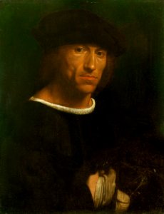 Attributed to Girolamo Savoldo (c. 1480-1548) - Portrait of a Man with a Hawk - RCIN 405764 - Royal Collection