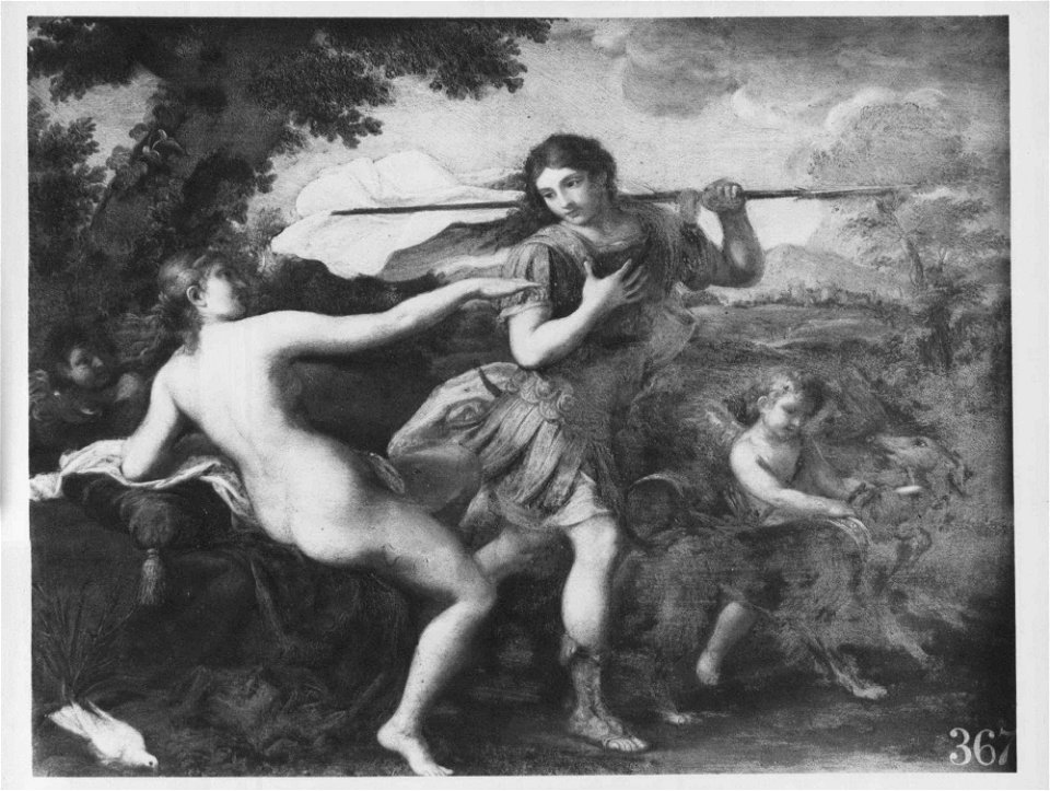 Attributed to Giuseppe Bartolomeo Chiari (Rome 1654-Rome 1727) - Venus and Adonis - RCIN 402609 - Royal Collection