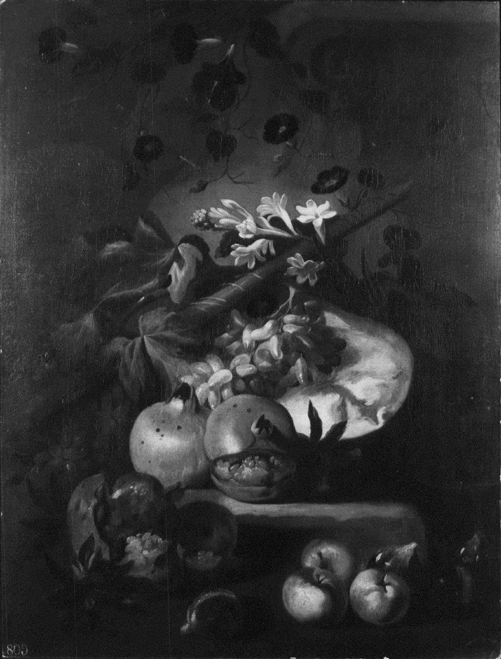 Attributed to Italian School, 17th century - A Still Life of Fruit and Flowers - RCIN 405616 - Royal Collection