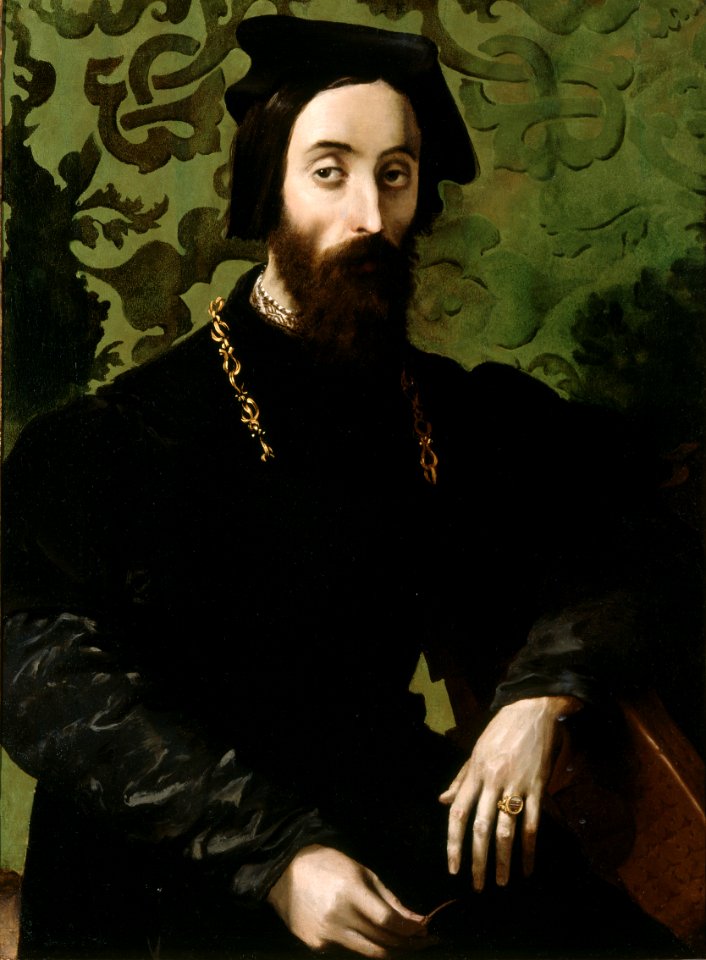 Attributed to Girolamo Mazzola Bedoli - Portrait of a Musician - 30-1922 - Saint Louis Art Museum