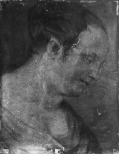 Attributed to Sebastiano Ricci (Belluno 1659-Venice 1734) - Head of a Woman in Profile - RCIN 406726 - Royal Collection