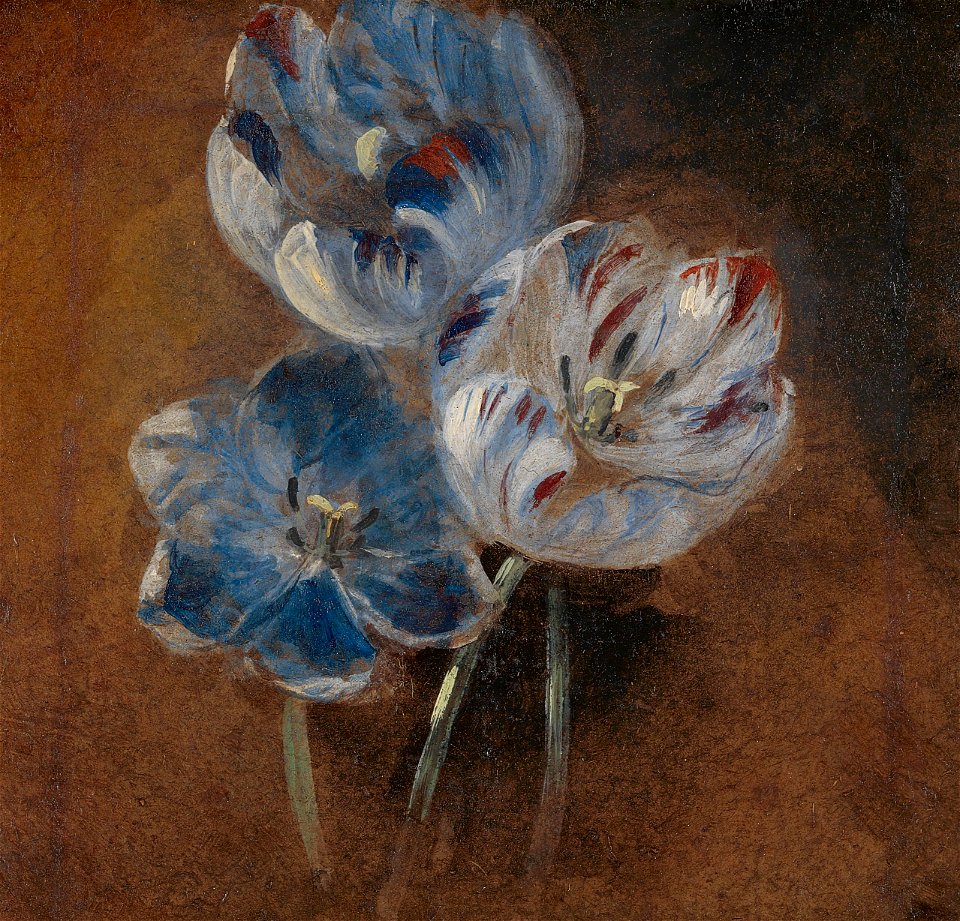 Attributed to John Constable - Study of Three Parrot Tulips, ca. 1832, B2014.5.1