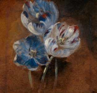 Attributed to John Constable - Study of Three Parrot Tulips, ca. 1832, B2014.5.1
