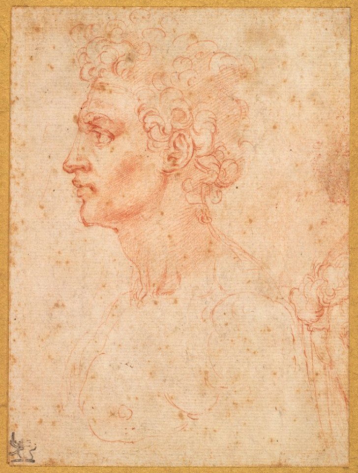 Attributed to Michelangelo Buonarroti - Profile Head of a Young Man, 1932.148