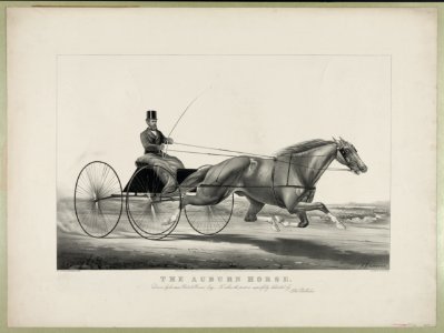 Auburn horse- driven by his owner Robert Bonner, Esq.-to whom the print is respectfully dedicated by the publishers LCCN90708828