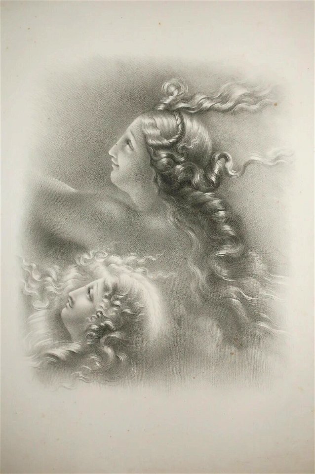 Aubry-Lecomte - Collection de têtes d'étude - 12