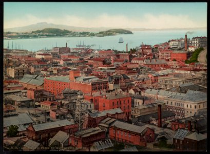 Auckland, from St. Matthews Tower LCCN2017657812