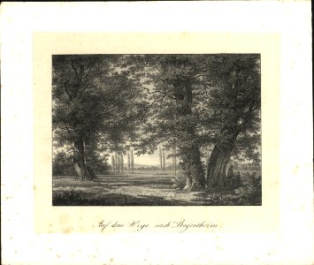Auf dem Wege nach Beyertheim, objectnr A 58197