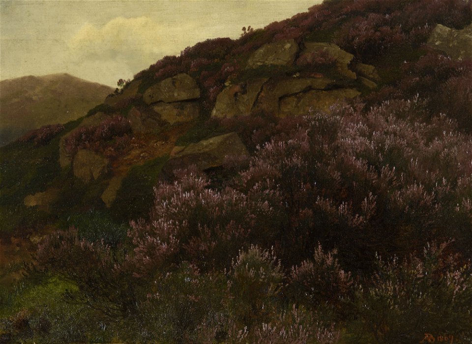 August Becker (1822-87) - Heather on Craig Gowan - RCIN 403712 - Royal Collection