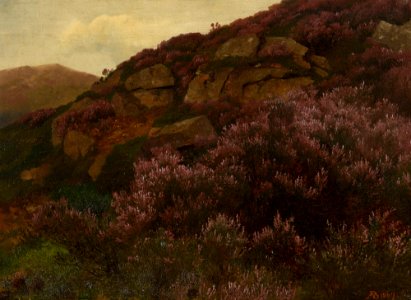 August Becker (1822-87) - Heather on Craig Gowan - RCIN 403712 - Royal Collection