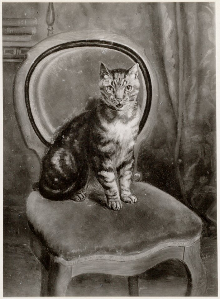 August Le Gras - Kat op stoel - SA 477 - Amsterdam Museum