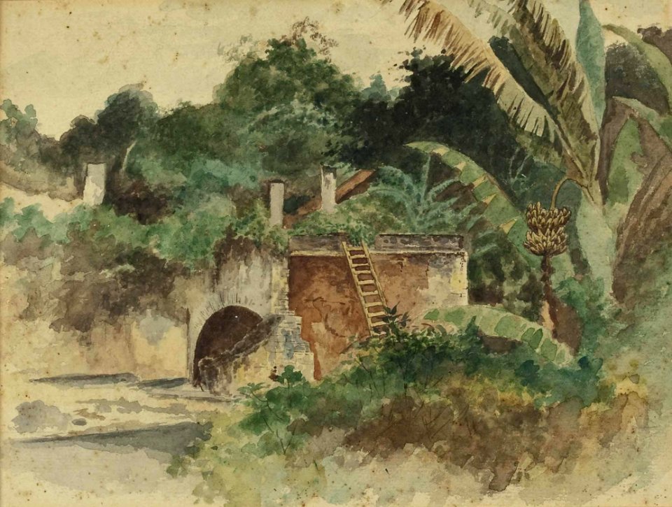 August Lohr Hausruine im Dschungel