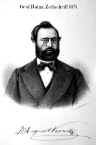 August Kanitz Litho