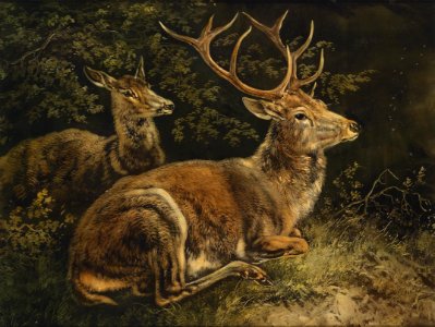 August Schleich Rotwild