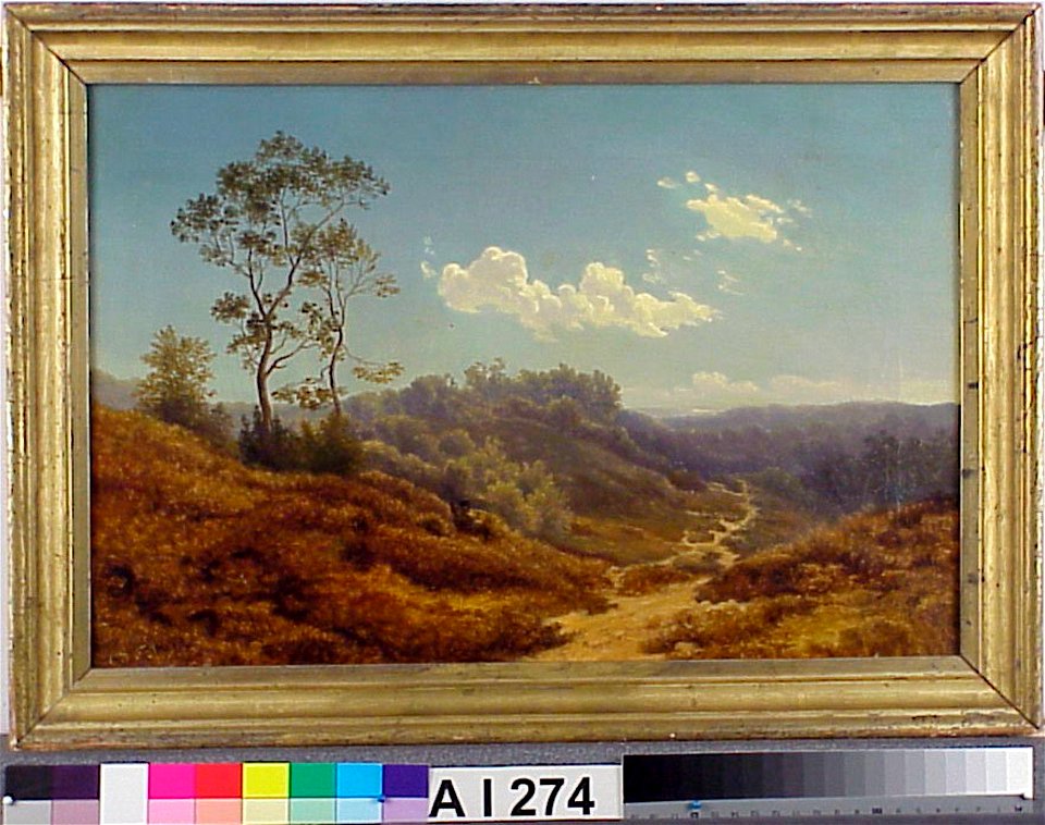 Augusta Soldan - Maisematutkielma, kopio Albert Flammin mukaan - A I 274 - Finnish National Gallery