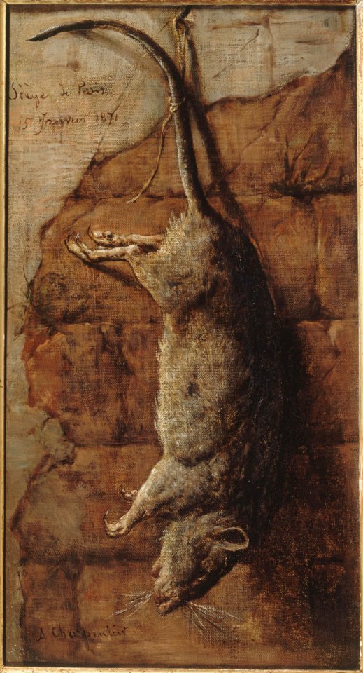 Auguste Charpentier - Rat ayant servi à l'alimentation pendant le siège de Paris - P1406 - Musée Carnavalet