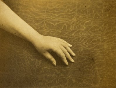 Auguste Vacquerie - La main de Madame Hugo - Google Art Project