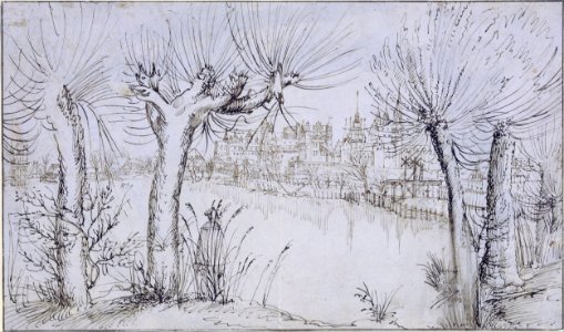 Augustin Hirschvogel - Pond before a town - Google Art Project