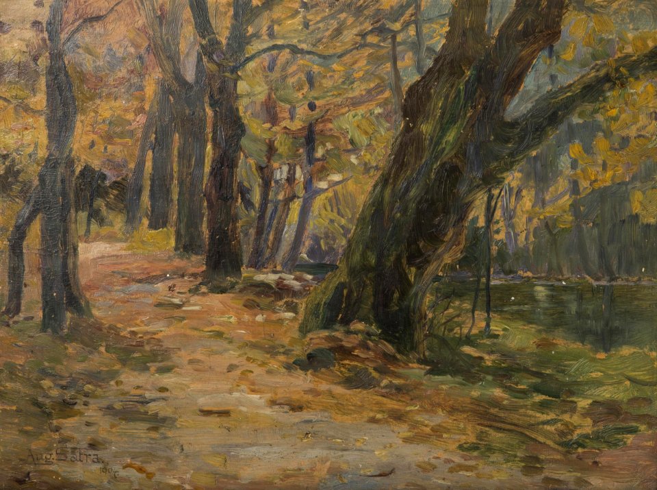 Augustin Satra - In the Park