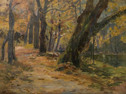 Augustin Satra - In the Park