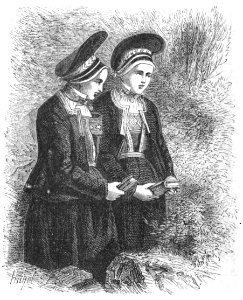 Aunet - Voyage d’une femme au Spitzberg, 1872 (page 98 crop)