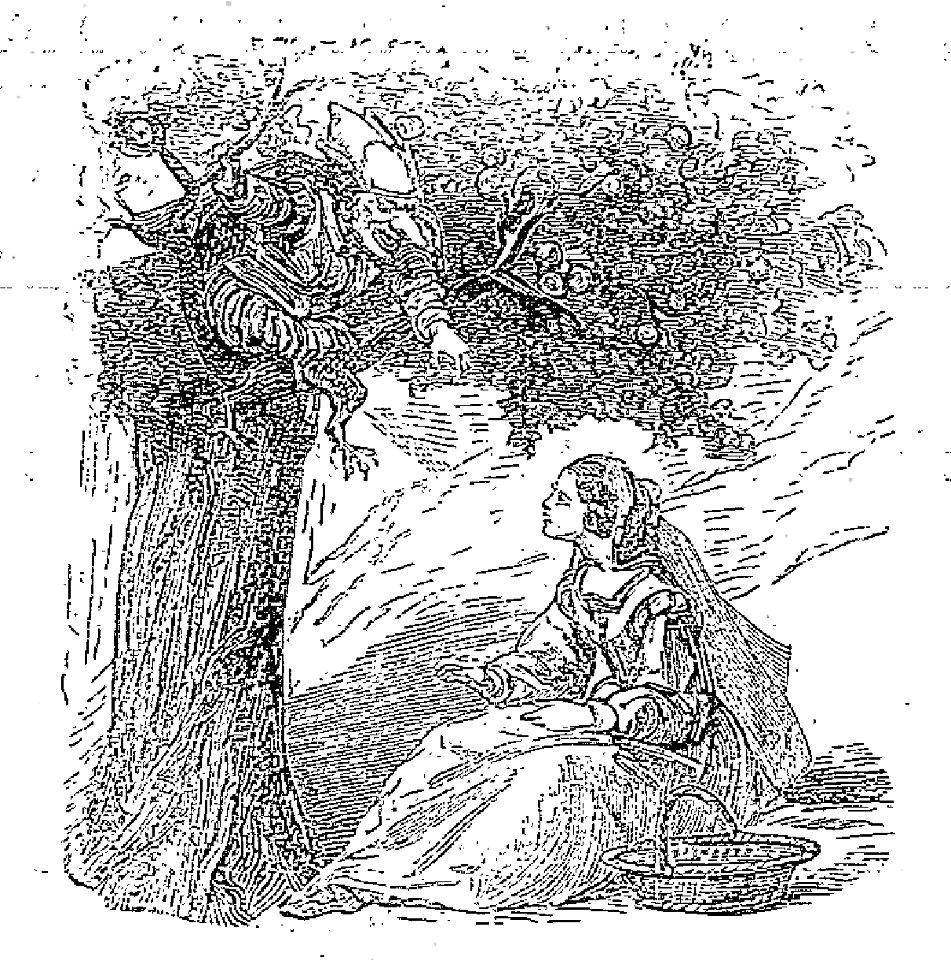 Aulnoy - Contes de Madame d'Aulnoy, 1882 (page 59 crop)