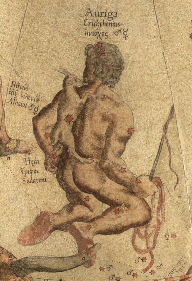 Auriga - Mercator