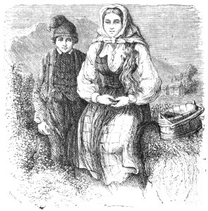 Aunet - Voyage d’une femme au Spitzberg, 1872 (page 84 crop)