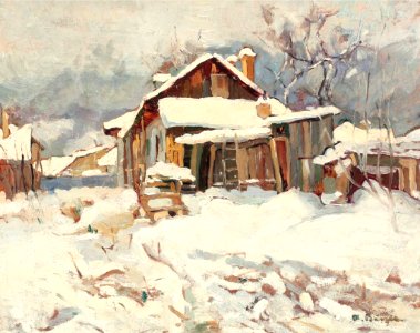 Aurel Baesu - Casa de mahala in Iasi