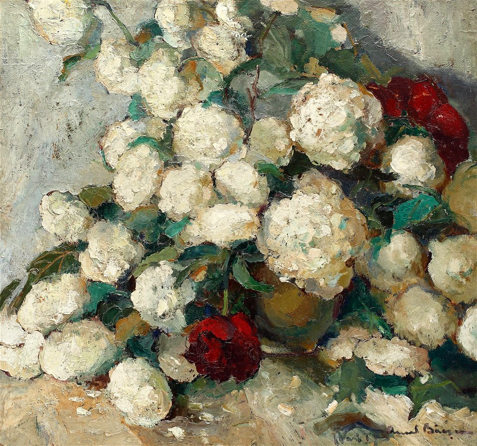 Aurel Băeşu - Boule-de-neige