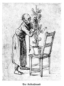 Aus Hendschel’s Skizzenbuch Der Kaktusfreund dgE