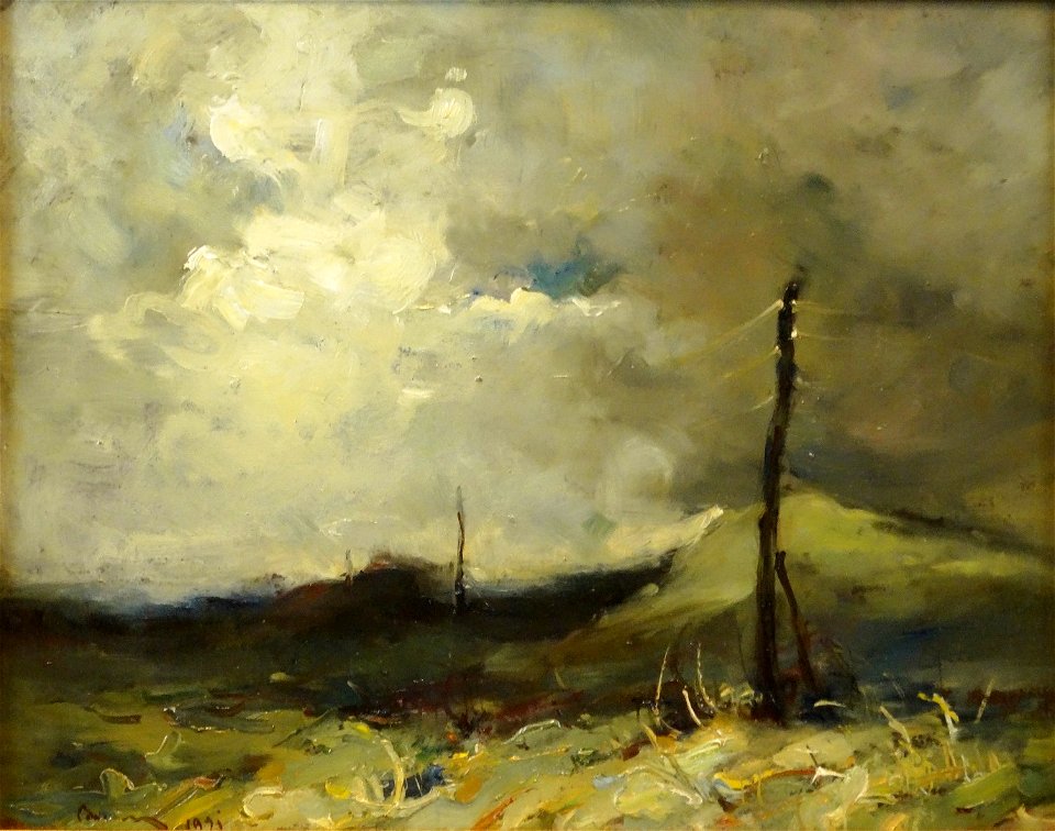 Aurel Baesu - Cer de furtuna