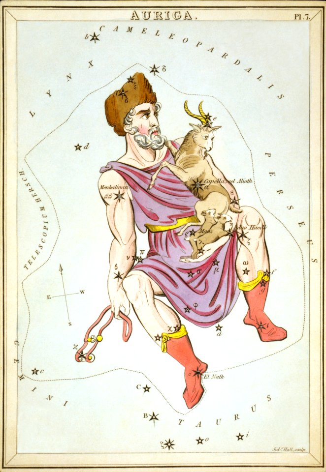 Aurigaurania