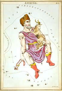 Aurigaurania