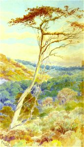 Aurélio de Figueiredo - Paisagem 1904