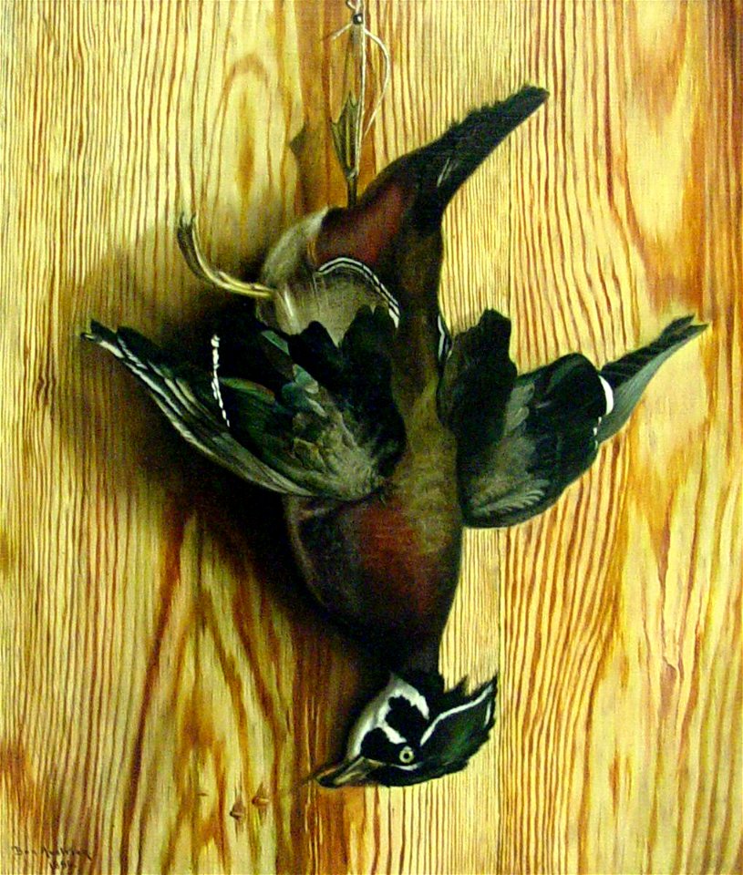 Ben Austrian - Dead Duck - 1971.172.1 - Reading Public Museum