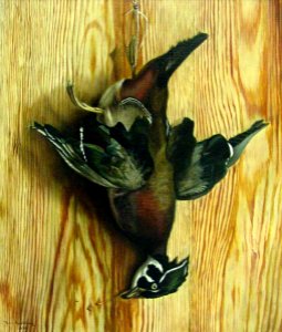 Ben Austrian - Dead Duck - 1971.172.1 - Reading Public Museum