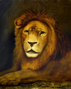 Ben Austrian - Recumbent Lion - 1974.13.1 - Reading Public Museum