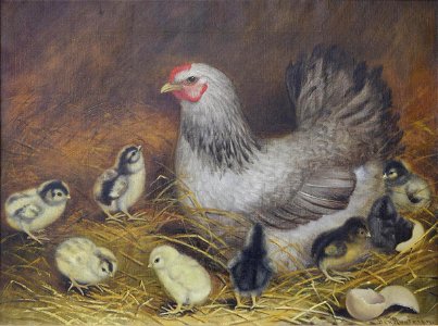 Ben Austrian - Hen with Baby Chicks - 2009.3.1 - Reading Public Museum