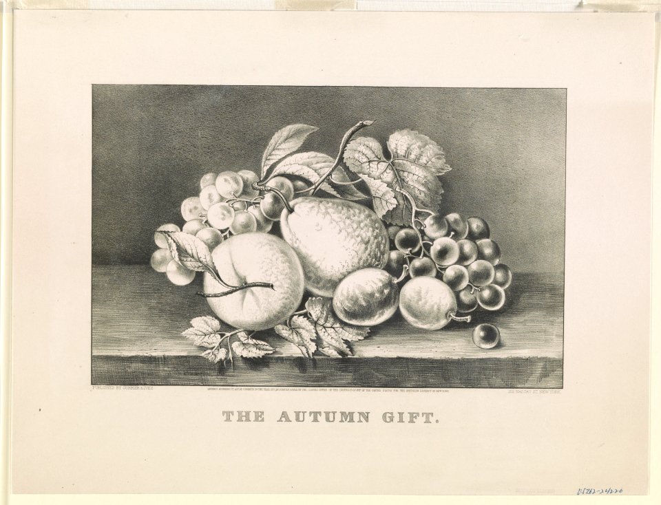 Autumn gift LCCN90708856