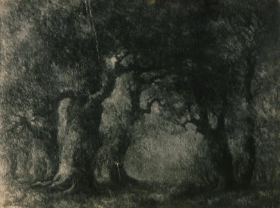 Autumn (HS85-10-24496)