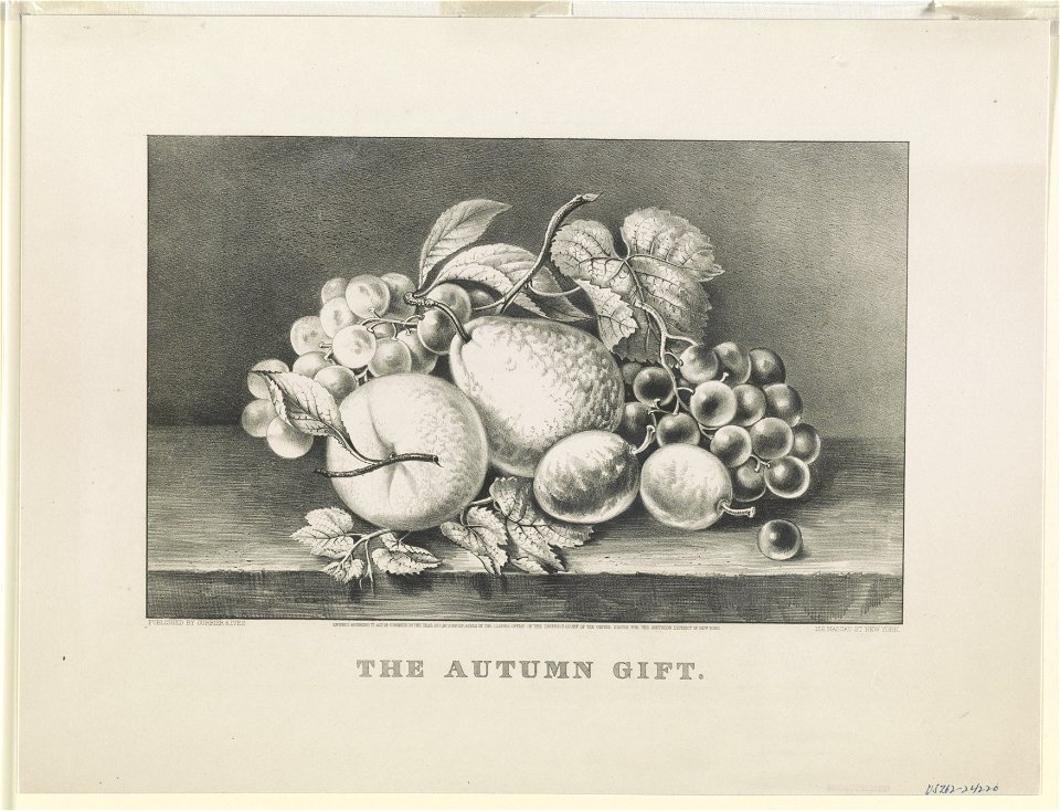 Autumn gift LCCN90708856