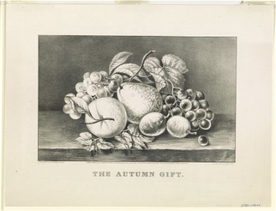 Autumn gift LCCN90708856