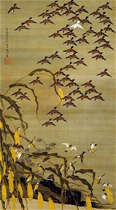 Autumn Millet and Sparrows by Ito Jakuchu (Sannomaru Shozokan)