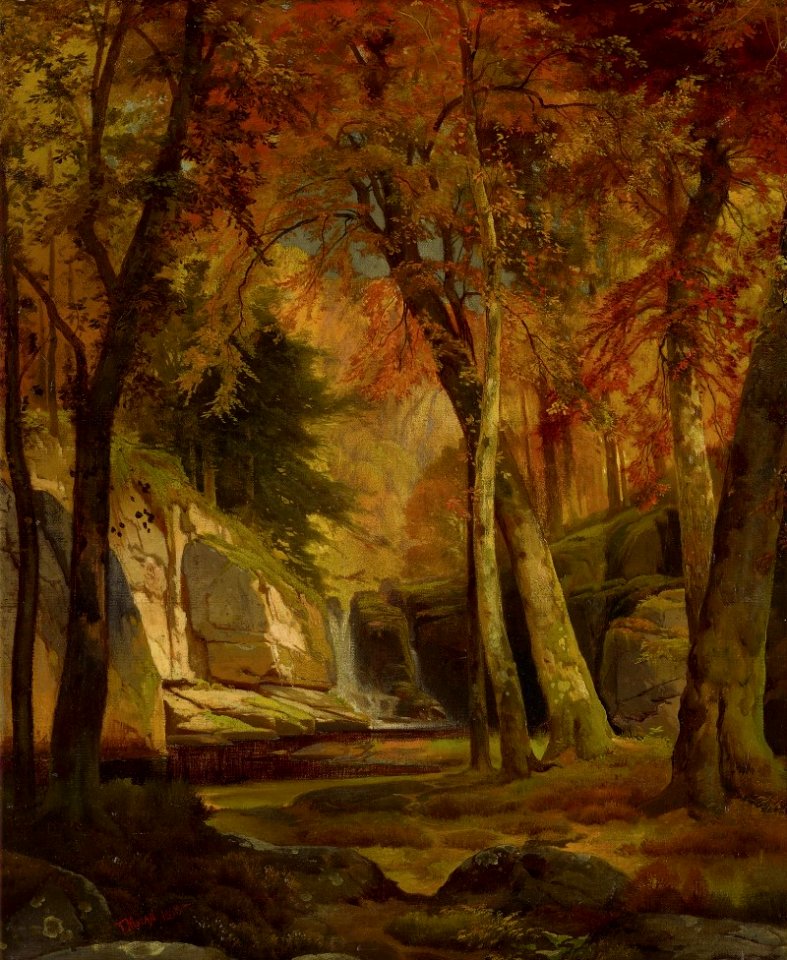 AUTUMN WOOD SCENE )