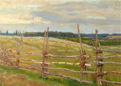 AVasnetsov twilight field
