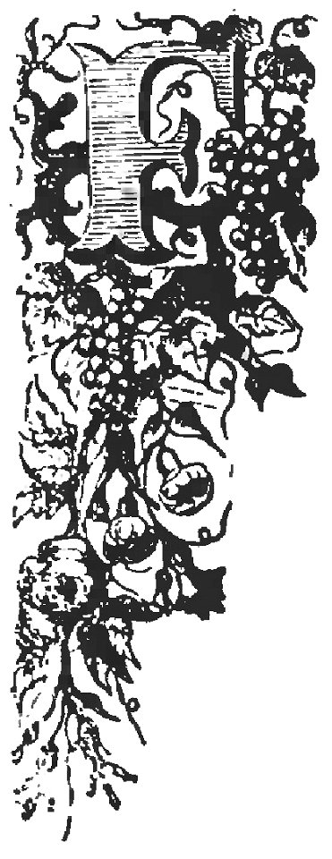 Avventure di Robinson Crusoe (page 805 crop)